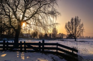 Een gouden wintermorgen in de polder - Zwartewaal/NL