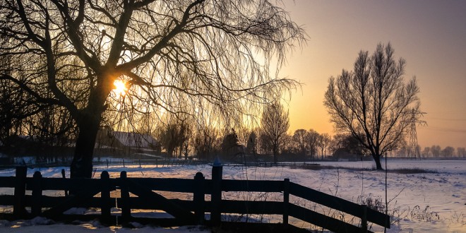 Een gouden wintermorgen in de polder - Zwartewaal/NL