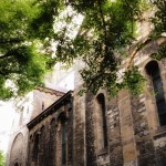 2014-05 Bomen vormen een prachtig lichtspel buiten de kerk (Maastricht)