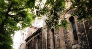 2014-05 Bomen vormen een prachtig lichtspel buiten de kerk (Maastricht)