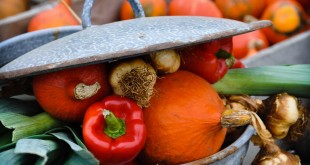 All you need for Pumpkin soup, as always give it a fresh start and use the best ingredients you can find.