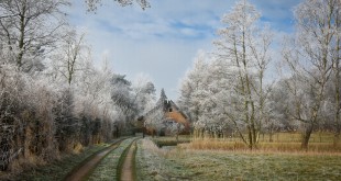 Ruige rijp betoverd de natuur rond de Tenellaplas - Rockanje/NL