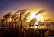 Winterse zonsondergang aan het strand - Hellevoetsluis/NL