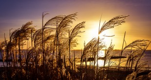 Winterse zonsondergang aan het strand - Hellevoetsluis/NL