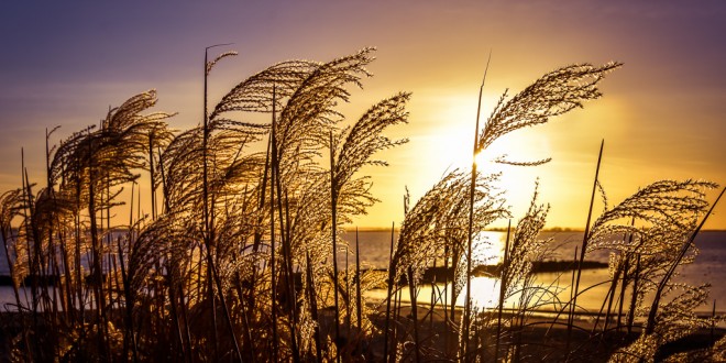 Winterse zonsondergang aan het strand - Hellevoetsluis/NL