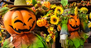 Happy Halloween decorations at Frontierland, in countryside style